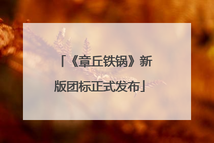 《章丘铁锅》新版团标正式发布