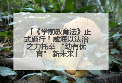 《学前教育法》正式施行！威海以法治之力托举 “幼有优育” 新未来