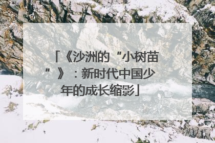 《沙洲的“小树苗”》：新时代中国少年的成长缩影