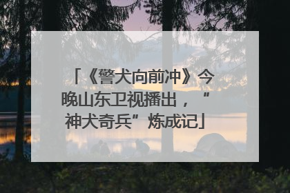 《警犬向前冲》今晚山东卫视播出，“神犬奇兵”炼成记