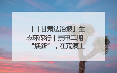 「甘肃法治报」生态环保行｜景电二期“焕新”，在荒漠上筑起一道绿色长城
