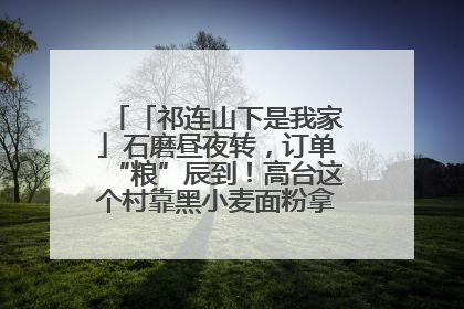 「祁连山下是我家」石磨昼夜转，订单“粮”辰到！高台这个村靠黑小麦面粉拿下成立来最大订单