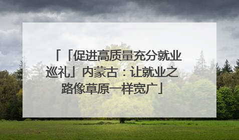 「促进高质量充分就业巡礼」内蒙古：让就业之路像草原一样宽广