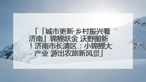 「城市更新·乡村振兴看济南」锦鲤跃金 沃野图新！济南市长清区：小锦鲤大产业 游出农旅新风景