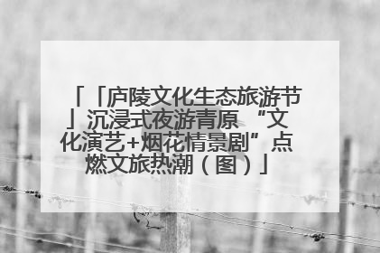 「庐陵文化生态旅游节」沉浸式夜游青原 “文化演艺+烟花情景剧”点燃文旅热潮（图）