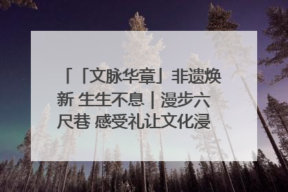 「文脉华章」非遗焕新 生生不息｜漫步六尺巷 感受礼让文化浸润的“巷”往生活