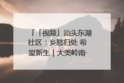 「视频」汕头东湖社区：乡愁归处 希望新生｜大美岭南·百村焕新记