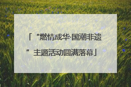 “燃情成华·国潮非遗”主题活动圆满落幕