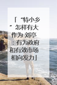 “特小乡”怎样有大作为 刘亭：有为政府和有效市场相向发力