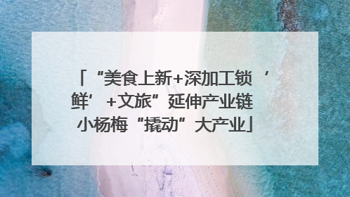 “美食上新+深加工锁‘鲜’+文旅”延伸产业链 小杨梅“撬动”大产业