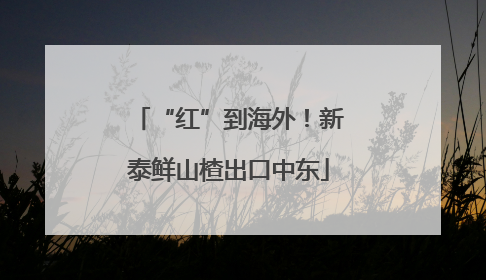 “红”到海外！新泰鲜山楂出口中东