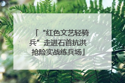 “红色文艺轻骑兵”走进石首抗洪抢险实战练兵场