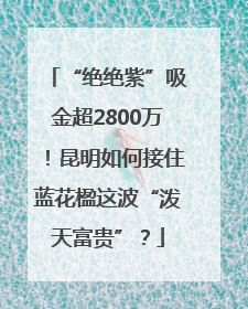 “绝绝紫”吸金超2800万！昆明如何接住蓝花楹这波“泼天富贵”？
