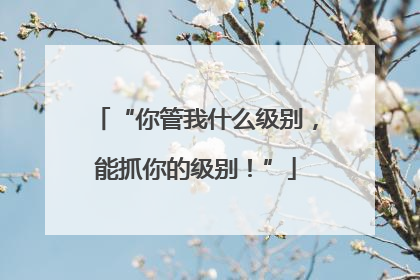 “你管我什么级别，能抓你的级别！”