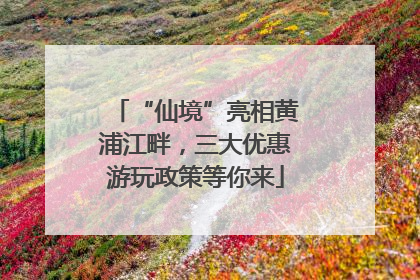 “仙境”亮相黄浦江畔，三大优惠游玩政策等你来