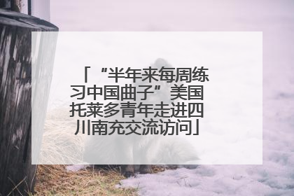 “半年来每周练习中国曲子”美国托莱多青年走进四川南充交流访问