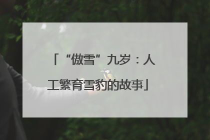 “傲雪”九岁：人工繁育雪豹的故事