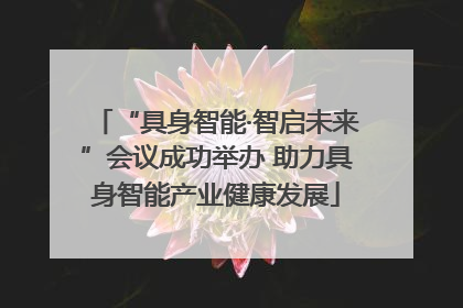 “具身智能·智启未来”会议成功举办 助力具身智能产业健康发展