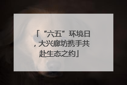 “六五”环境日，大兴廊坊携手共赴生态之约