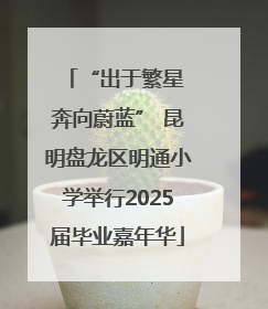 “出于繁星 奔向蔚蓝” 昆明盘龙区明通小学举行2025届毕业嘉年华