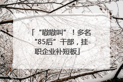 “嗷嗷叫”！多名“85后”干部，挂职企业补短板