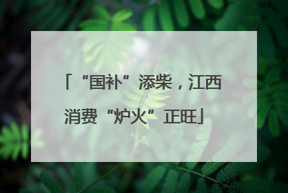 “国补”添柴，江西消费“炉火”正旺