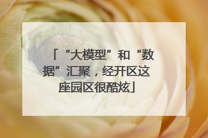 “大模型”和“数据”汇聚，经开区这座园区很酷炫