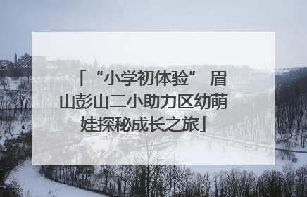 “小学初体验” 眉山彭山二小助力区幼萌娃探秘成长之旅