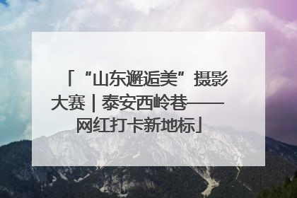 “山东邂逅美”摄影大赛｜泰安西岭巷——网红打卡新地标