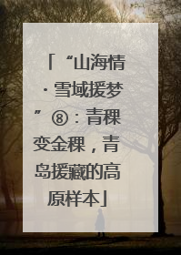 “山海情・雪域援梦”⑧：青稞变金稞，青岛援藏的高原样本