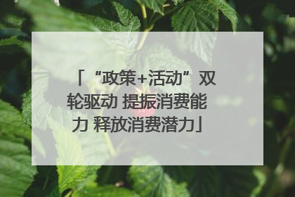 “政策+活动”双轮驱动 提振消费能力 释放消费潜力