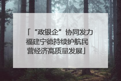 “政银企”协同发力 福建宁德持续护航民营经济高质量发展