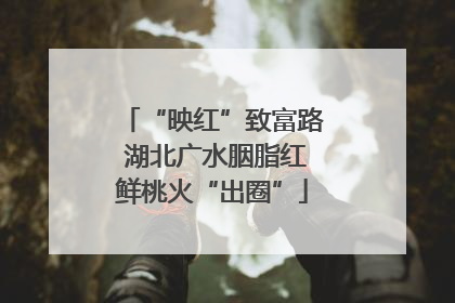 “映红”致富路 湖北广水胭脂红鲜桃火“出圈”