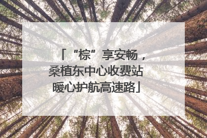 “棕”享安畅，桑植东中心收费站暖心护航高速路