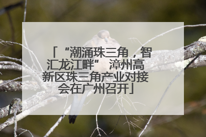 “潮涌珠三角，智汇龙江畔” 漳州高新区珠三角产业对接会在广州召开