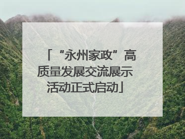“永州家政”高质量发展交流展示活动正式启动