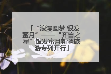 “浪漫圆梦 银发蜜月”——“齐鲁之星”银发蜜月新疆旅游专列开行