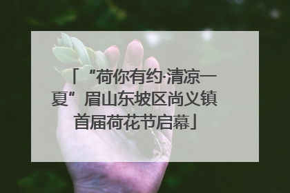 “荷你有约·清凉一夏”眉山东坡区尚义镇首届荷花节启幕