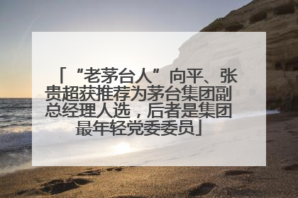 “老茅台人”向平、张贵超获推荐为茅台集团副总经理人选，后者是集团最年轻党委委员