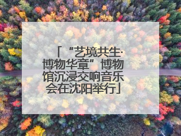“艺境共生·博物华章”博物馆沉浸交响音乐会在沈阳举行