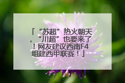 “苏超”热火朝天，“川超”也要来了！网友建议西南F4组建西甲联赛！