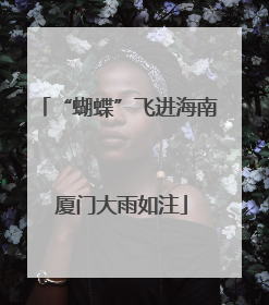 “蝴蝶”飞进海南 厦门大雨如注