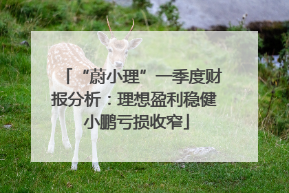 “蔚小理”一季度财报分析：理想盈利稳健 小鹏亏损收窄