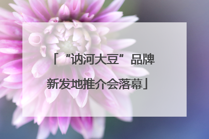 “讷河大豆”品牌新发地推介会落幕