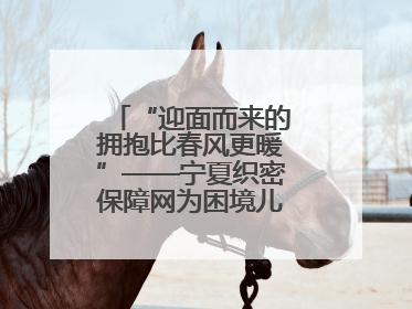 “迎面而来的拥抱比春风更暖”——宁夏织密保障网为困境儿童成长护航