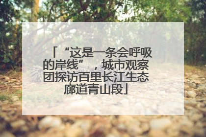 “这是一条会呼吸的岸线”，城市观察团探访百里长江生态廊道青山段