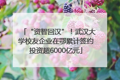 “资智回汉”！武汉大学校友企业在鄂累计签约投资超6000亿元