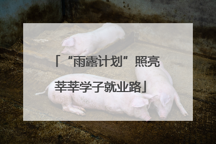“雨露计划”照亮莘莘学子就业路