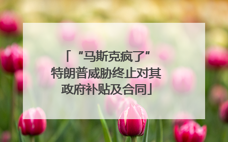 “马斯克疯了” 特朗普威胁终止对其政府补贴及合同