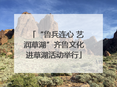 “鲁兵连心 艺润草湖”齐鲁文化进草湖活动举行
